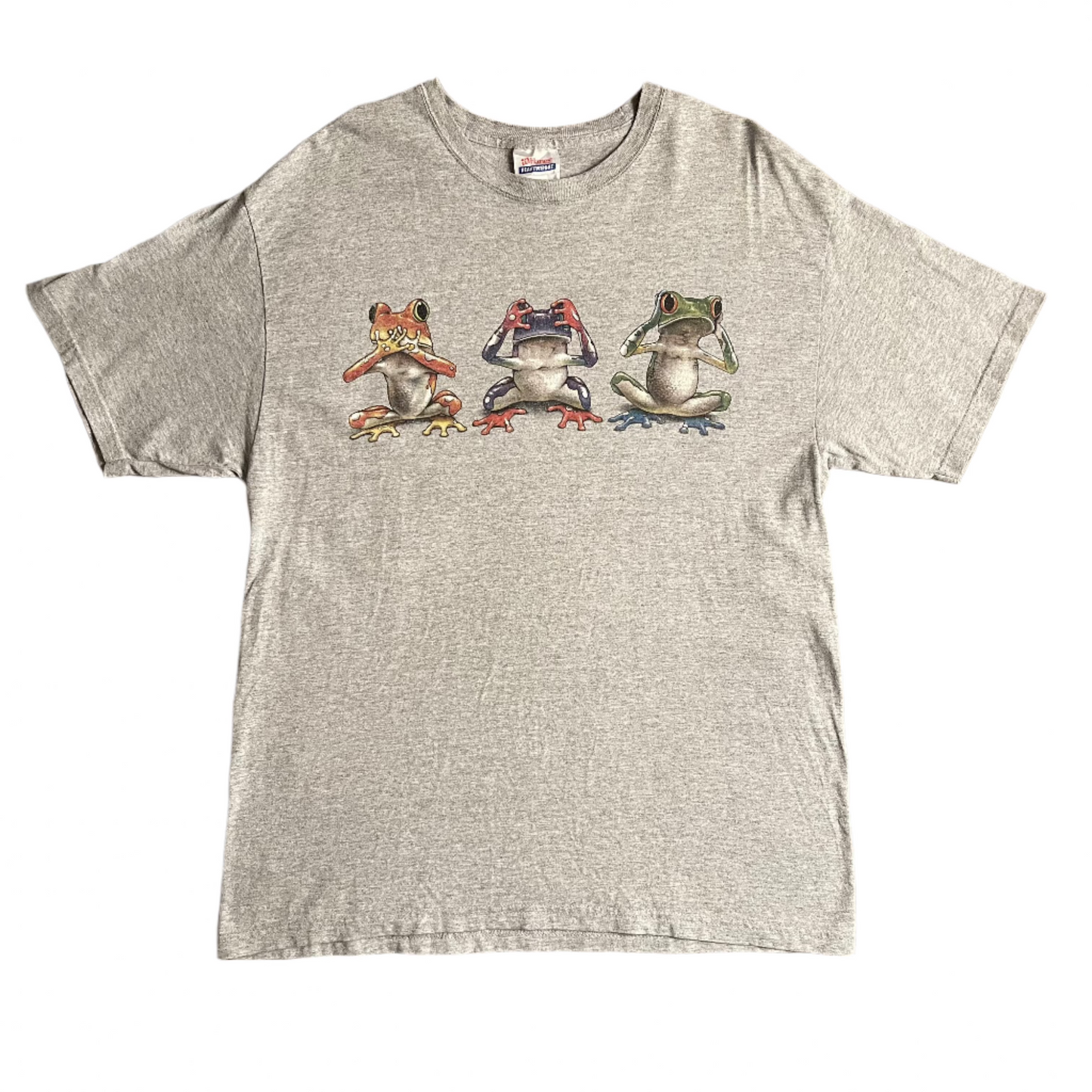Vintage Hanes Frog Tee (L)