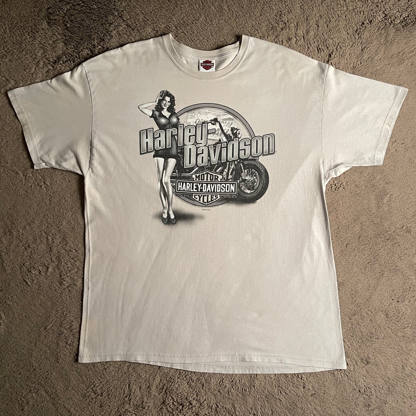 2012 Harley Davidson Illinois Tee (XL)