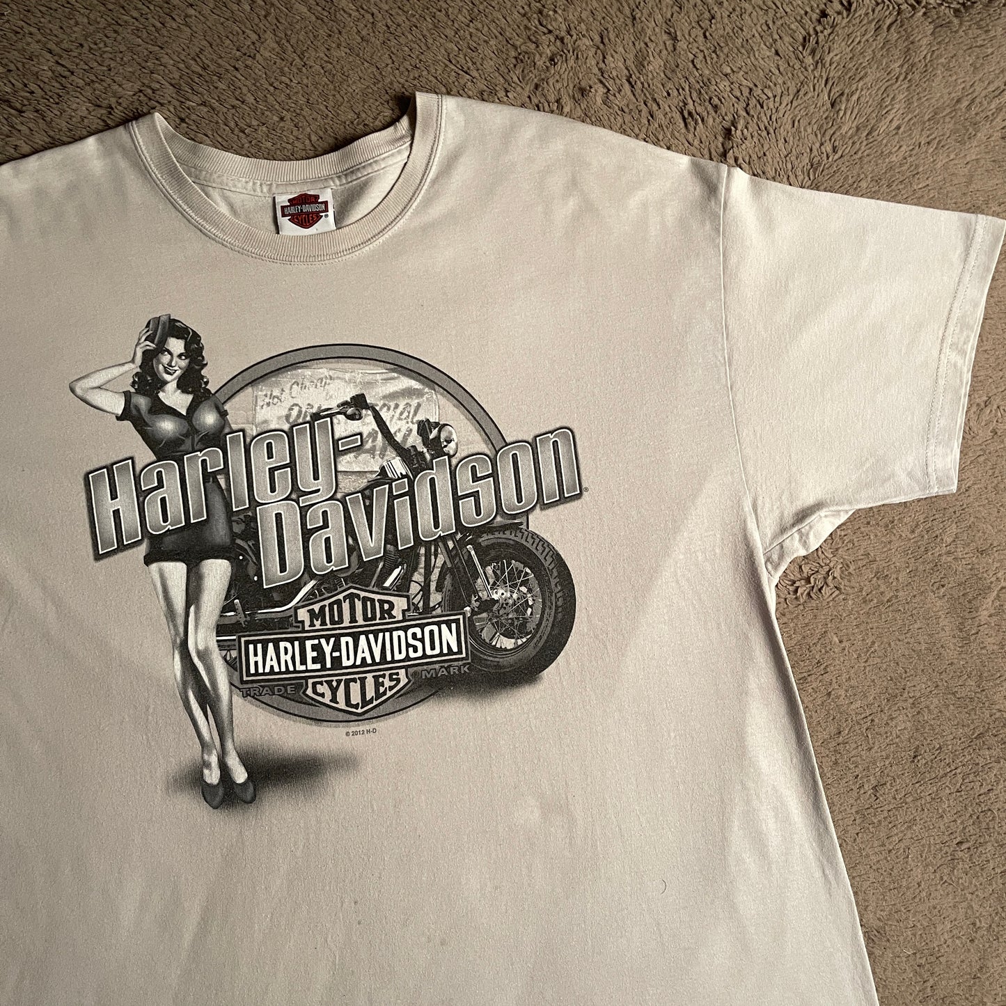 2012 Harley Davidson Illinois Tee (XL)