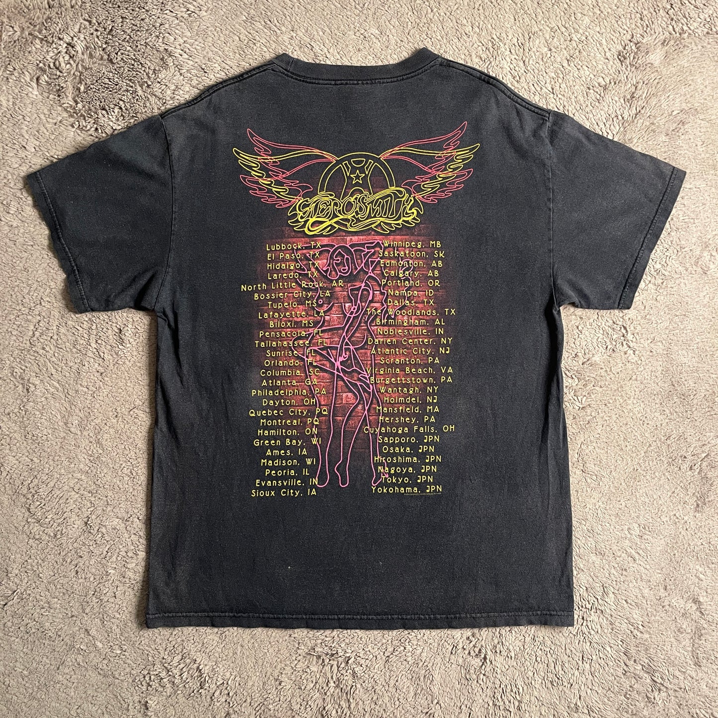 2004 Vintage Aerosmith Tour Tee (L)