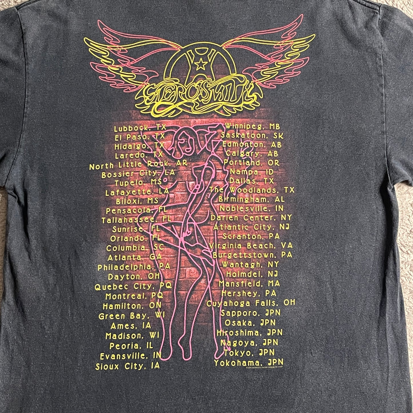 2004 Vintage Aerosmith Tour Tee (L)