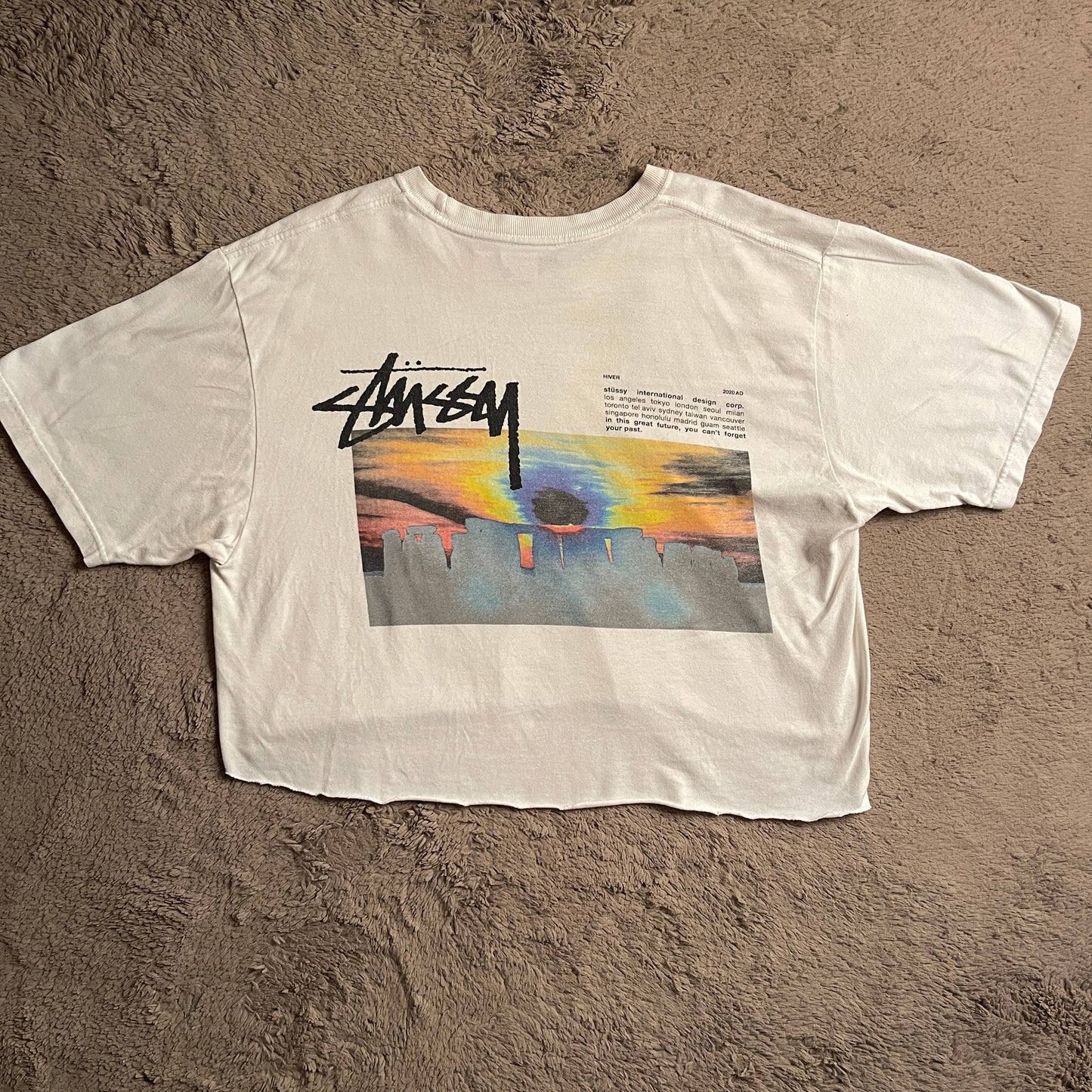 Stussy Stonehenge Cropped Tee (L)