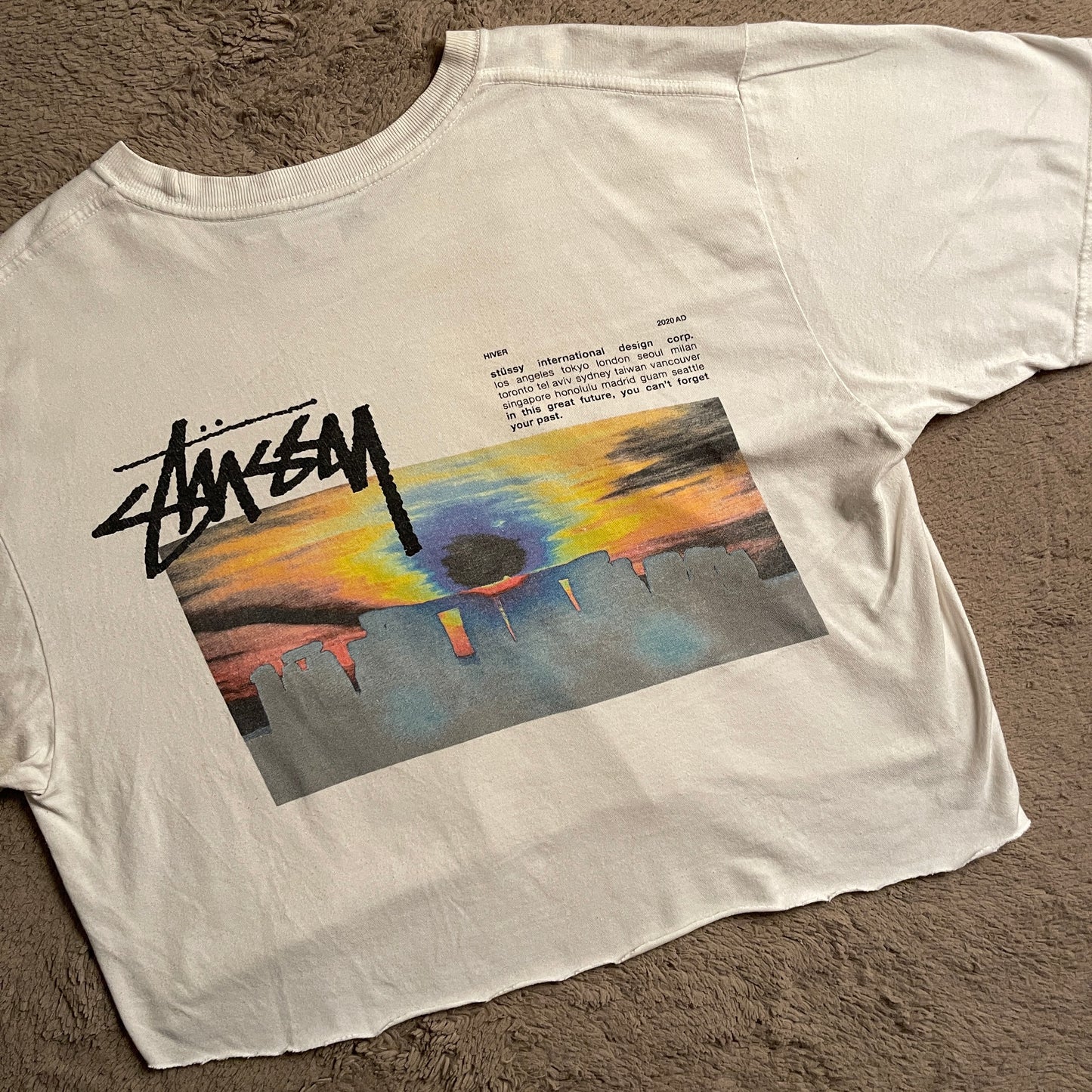 Stussy Stonehenge Cropped Tee (L)