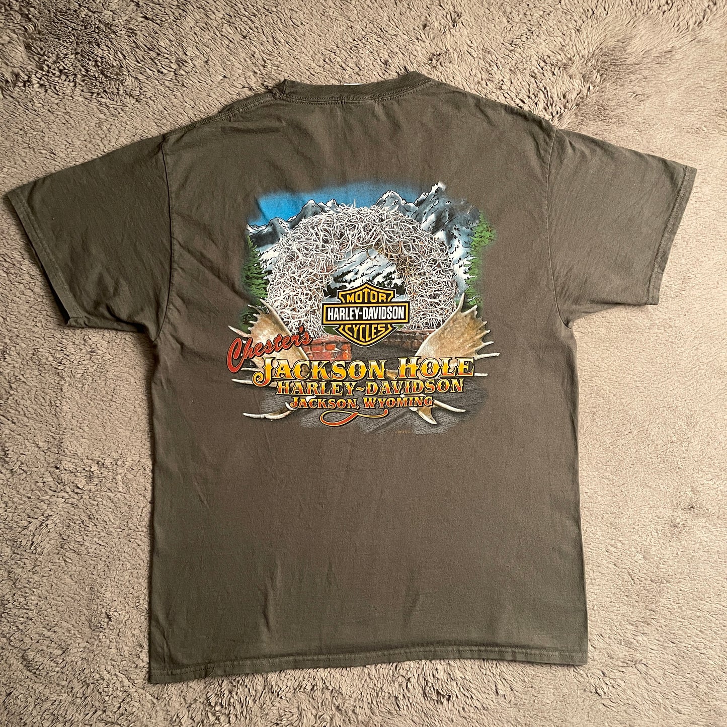 Harley Davidson "Just Ride" Tee (L)