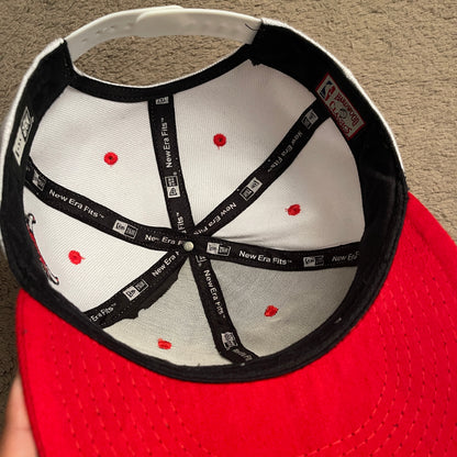 NBA Chicago Bulls New Era Hat