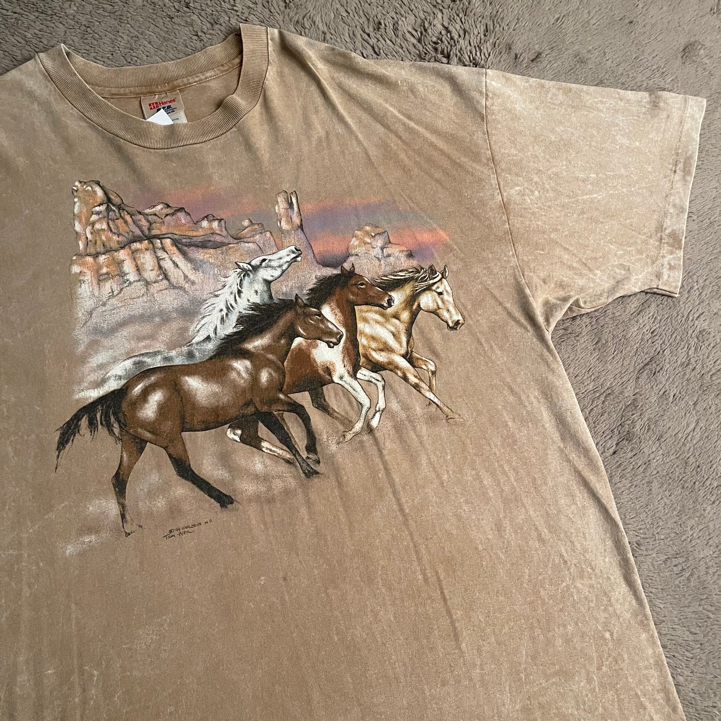 1994 Wild Horses Vintage Tee (XL)