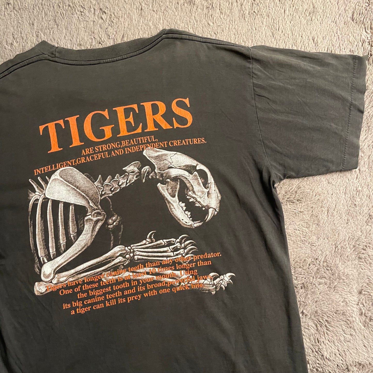 Independence Tiger Tee (XL)